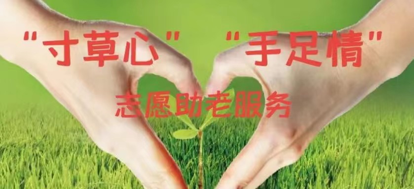 “寸草心”“手足情”志愿助老服务